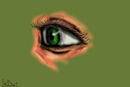 eye