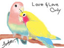 lovebirds