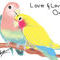 lovebirds by sankar