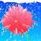 cursi-dandelion by cricu