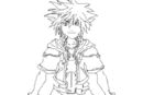 sora