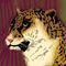 jag by gregsometimes