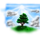 nature-natural