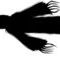dementor by snape