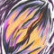 crazy-egg by loyla