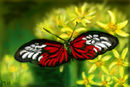 soft-landing soft-landing