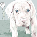i-have-my-own-way-to-g