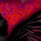black-angel by cooky