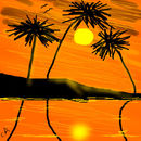 sunny-beach