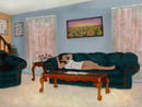living-room