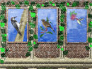 birds-eye-view