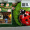 a-giant--ladybug-visit by ploiesteana