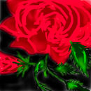 rose