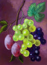 grapes grapes