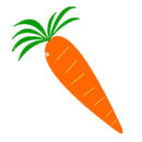 carrot