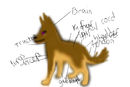 the-systems-in-layers-