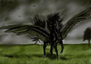 black-pegasus black-pegasus