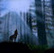 howling-wolf by Belinda