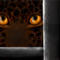 cat-s-eyes by cinx