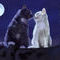 kittens by Belinda