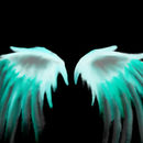 wings