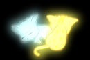 gold-and-silver-meow