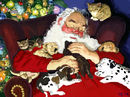 nap-with-santa