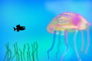 fish-sees-medussa