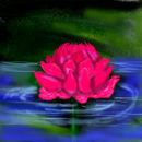 lotus