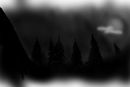 dark-forest