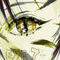 eye-7 by k99