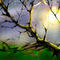 tree by hellhide