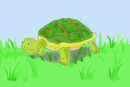 terry-the-turtle terry-the-turtle