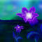 purple-light by Danielle1