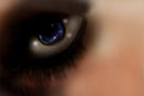 in-the-eyes-of-the-beh