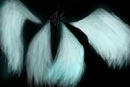 wings-test