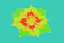 strainge-flower