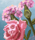 alices-flowers alices-flowers