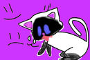 my-samaese-cat-from-fo