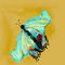 fibro-wings by joysworld
