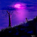elagiri-at-night