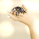special-hand