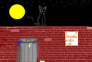 lost-cat