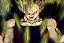 vegeta