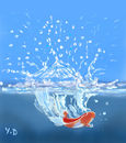 splash