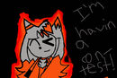 im-havinng-a-kitty-cat