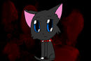 scourge-from-warriors