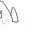 squiggly by isaac9