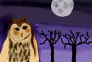 owl