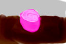 rose-2